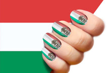 Load image into Gallery viewer, Mexico Flag Chrome