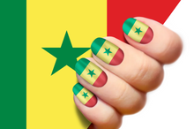 Load image into Gallery viewer, Senegal Flag
